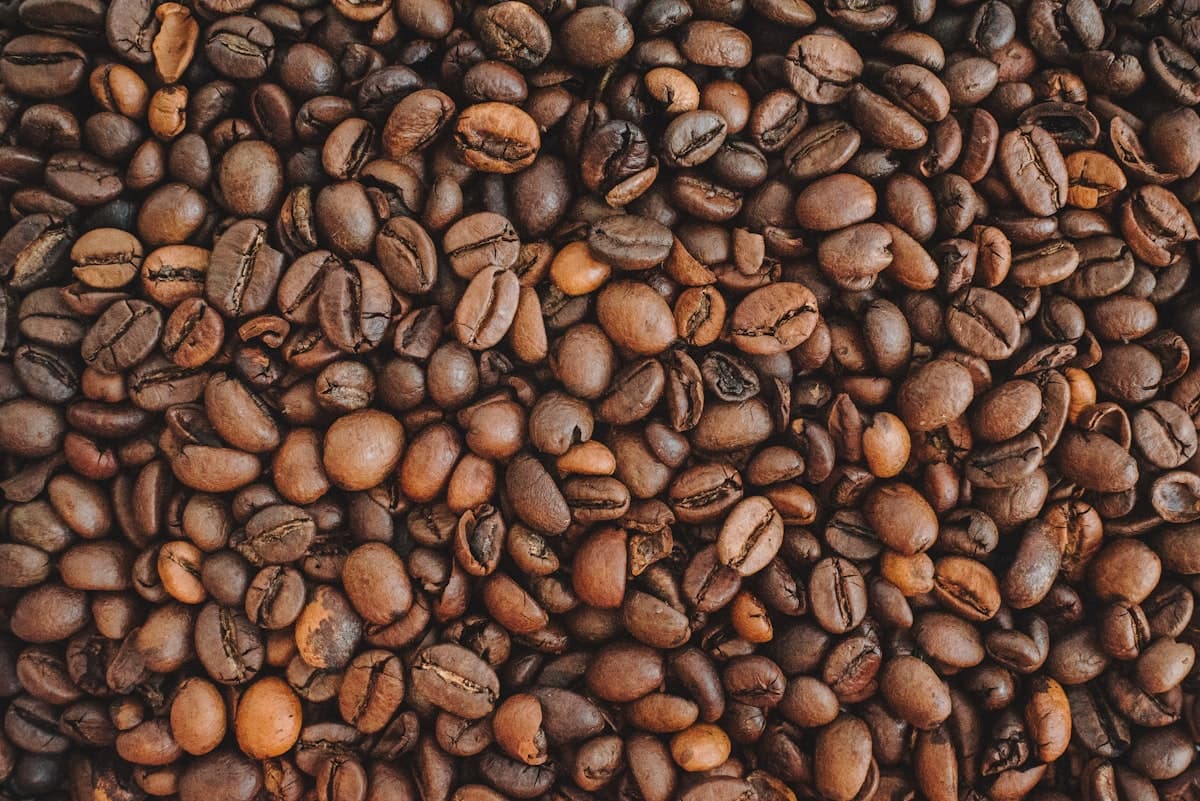 Kenia AA — Nyeri